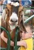 Honey Hill Farm 41018, Erlanger