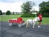 Honey Hill Farm 41018, Erlanger