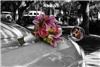 Ayla Photography and Design, Mississauga — flowers on rolls reflected in mirror