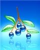 Click to see Profile