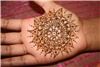 Mehndi Made Memories, Minneapolis — Mandala done at Camp Masala 2010