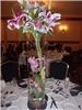 Always Beautiful Designs by Stella, Berlin — Stargazer lillies in conical vase.