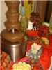A Social Event Catering, Montgomery — Chocolate Fountains make beautiful presentations.  We bring lots of goodies for everyone to chocolate coat.