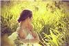 Outdoor Venues, Sunset Ranch Hawaii, Haleiwa