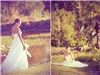 Outdoor Venues, Sunset Ranch Hawaii, Haleiwa