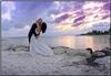 Click to see Profile