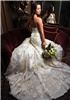 Giffin Photography - Murfreesboro, Murfreesboro