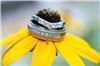Giffin Photography - Murfreesboro, Murfreesboro