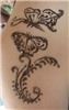 Shelley's Style-Your Avenue to Distinctive Artistry, Sunnyvale