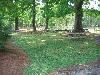Painted Sunset Farm, Raleigh — Painted Sunset Farm ~ Picnic Area