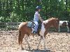 Painted Sunset Farm, Raleigh — Painted Sunset Farm ~ Arena Riding