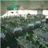reFresh Events, Vancouver