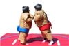 Total Entertainment - Providence, Providence — Sumo wrestling outfits for rent with pad.