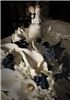 Studio Fuentes, Sanford — Wedding Cake