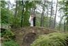 Brides In Bloom Photography, Alexander