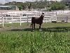 Equestrain Center, Rancho Valle Milagro, Tucson — Stable area (available for tents, tables, etc.)