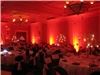 Royal Palm Ballroom, Hilton Naples, Naples — Festive