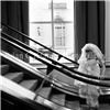 Brian C Kramer Photography, Saint Louis