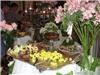 A Taste Of New Orleans Catering, Baton Rouge — Many of our guest are most pleased with our presentation, service, and quality of food which is only the freshest available.