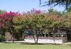 Picnic Grounds, Ben Ali Shrine Center, Sacramento