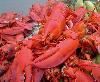 Sam's Great Northern Lobster Bakes & Catering Company, Portland
