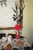 Pretty Little Parties, Rogers — Zebra themed center pieces