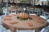 Entire Facility, Agua Linda Farm, Amado — The backyard between the hacienda and pool house can fit up to 300 guests.  It can also house a large event tent.