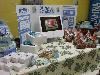 Di-Na Cakes, Providence — Another example of a vending event we attended.