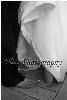 Plies Photography, Cedarpines Park