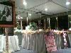 A-Admiral's Yacht Charter, Fort Lauderdale