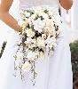 Prairie Village Hy-Vee Floral Shop, Prairie Village — Sheer Elegance, Unique Designs, Exquisite Arrangements, Professional Designers, Affordable Pricing.  Your Hy-Vee Florist is truly the best!  Hy-Vee is your one-stop shop for all of your floral needs!  Prairie Village Hy-Vee Floral Shop has been serving your floral needs for over 20 years!  Bridal Bouquets, Table Arrangements, Classic Displays, and more.  We are here to serve your every floral need!  Birthdays, Funerals, Reunions, School Dances, Parties, Weddings, and Receptions!  Contact one of your Hy-Vee Floral Designers today!  913-383-8313!