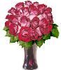 Prairie Village Hy-Vee Floral Shop, Prairie Village — Sheer Elegance, Unique Designs, Exquisite Arrangements, Professional Designers, Affordable Pricing.  Your Hy-Vee Florist is truly the best!  Hy-Vee is your one-stop shop for all of your floral needs!  Prairie Village Hy-Vee Floral Shop has been serving your floral needs for over 20 years!  Bridal Bouquets, Table Arrangements, Classic Displays, and more.  We are here to serve your every floral need!  Birthdays, Funerals, Reunions, School Dances, Parties, Weddings, and Receptions!  Contact one of your Hy-Vee Floral Designers today!  913-383-8313!