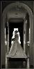 Evolution Photography, Souderton — Award Winning Weddings, Social Events, And Fine Art Portrait Photography by Certified Master Photographer Randy Davis. Serving Bucks, Montgomery, Chester, Delaware County And The Greater Philadelphia Metropolitan Area. Please Check Out More Of Our Photographic Art At Our Online Gallery At www.ExperienceEvolutionPhoto.com. Schedule Your Complimentary Consultation With Us At (267)626-4848 Or By Email At: evolutionphotography@yahoo.com