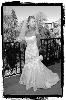 Trinacria Photo, Schenectady