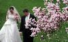 Maslov Photography - Cincinnati, Cincinnati