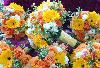 Ku O Lani Floral & Designs, Makawao — Bridal Bouquets