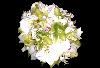 Ku O Lani Floral & Designs, Makawao — Tropical Orchid Bridal Bouquet