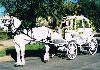 Angeli Carriages