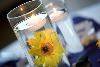 Catering by Bernie and Candie - Hendersonville, Hendersonville