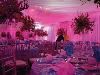 Custom Call Productions, Glen Burnie — Led Uplighting Picture 1