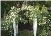 Garden, Barr Mansion, Austin — Garden