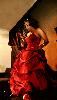Tylerstar Productions - Photography & Videography Services, Philadelphia