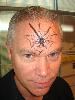 Tampa Bay Productions - Professional Face painting & glitter tattoos, Palm Harbor