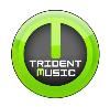 Trident Music Services, Brandon — Trident Music offers the best DJ service for your Socials, Weddings Ceremony/Receptions, Birthday Parties,Christmas, Live Music, Karaoke, Windups, School and College Functions. The best and professional lightings and Sound to make your party more memorable. Just a Call......We get your party, the best ever!!!!..dj@tridentmusic.ca. Book your event before july 31st. Avail 10% discount