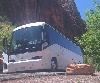 Golden Star Coach, San Pedro