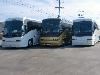 Golden Star Coach, San Pedro