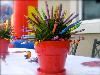 Charmed Events, San Diego