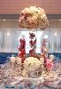 Boca By Design, Boca Raton