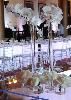 Boca By Design, Boca Raton