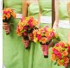 The Cat's Meow Flowers and Gifts, Castle Rock